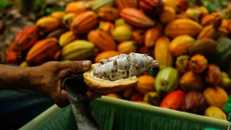 Produtos têm no elenco de exportações do Brasil, mas nada sinaliza abertura (Foto: Rafael Martins/AFP)