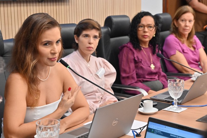 Luciana fez esclarecimentos à comissão (Foto: Eduardo Maia)