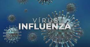 Influenza - vírus
