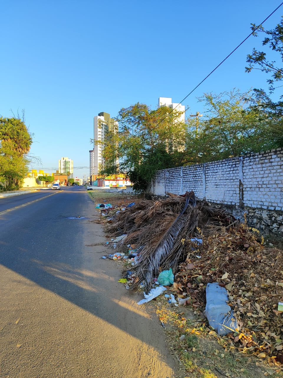 Uma cena nada ‘nobre’ no bairro Nova Betânia