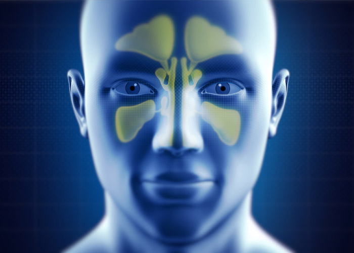 Depois dela, a sinusite, voltamos à rotina (amém!)