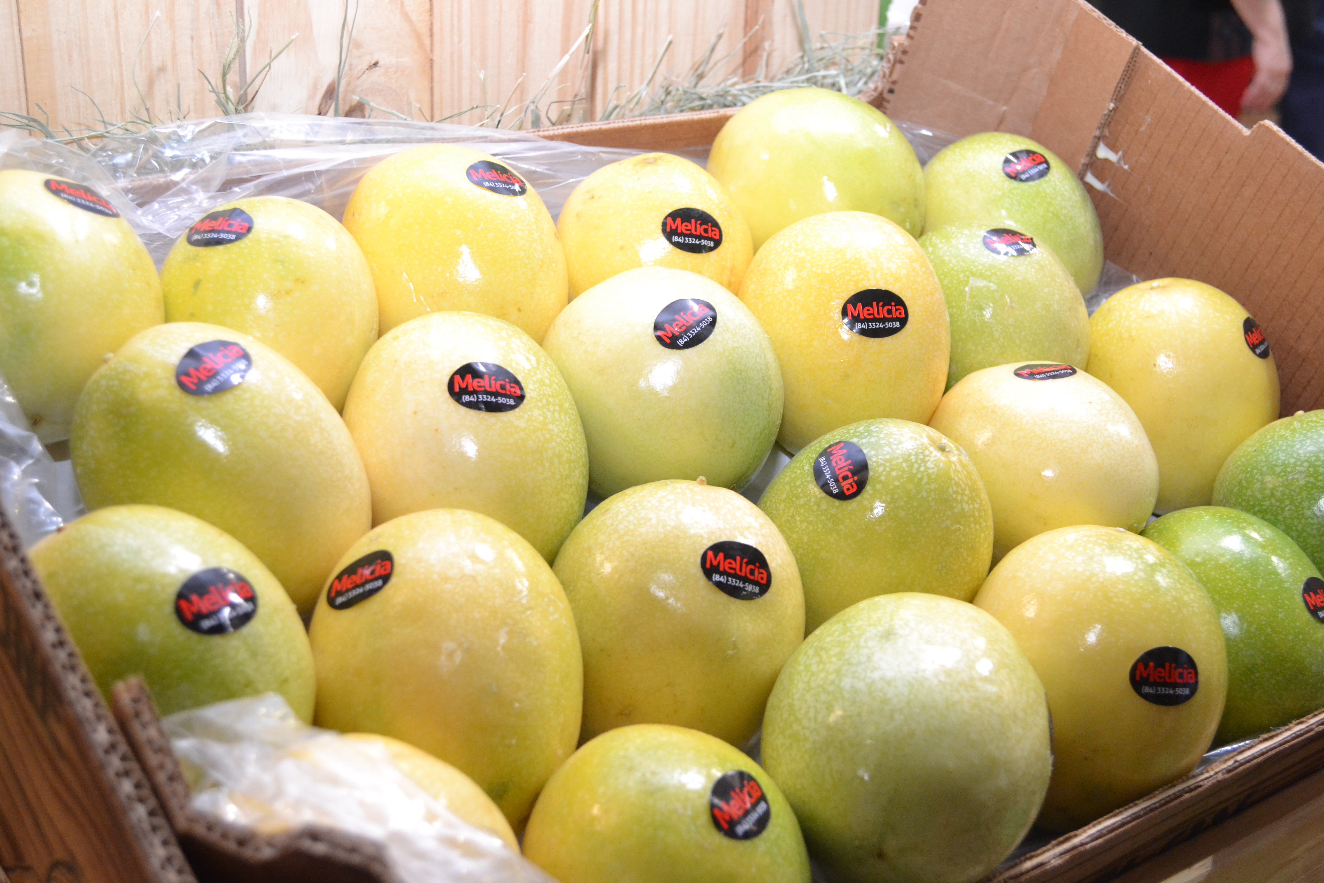 Mercado chinês para o melão brasileiro é tema de workshop